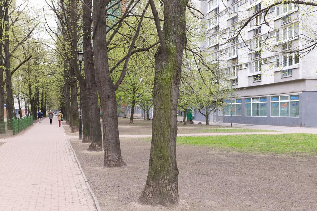 Studio Grzybowska - Warsaw Center Номер фото